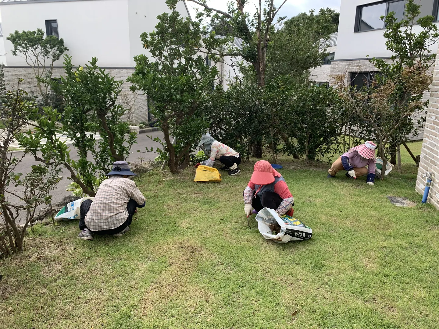 여러 직원이 함께 정원의 잡초를 제거하는 모습