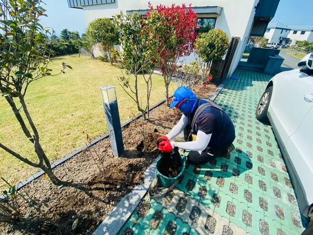 정원수 밑동 주변을 정리하는 모습