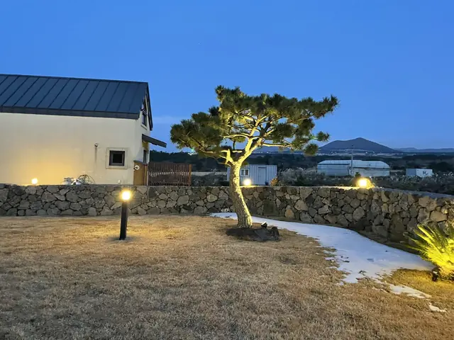 야외 조명이 켜진 주택 정원