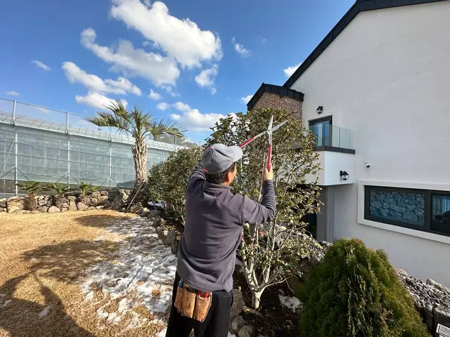 가까이에서 정원수 가지를 다듬는 모습