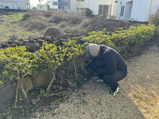 울타리 아래를 손으로 정리하는 모습
