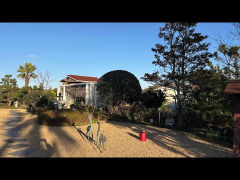 제주 잔디관리 전문 frame 064-721-7732 (주택관리, 잔디관리, 조경관리)  영상 썸네일